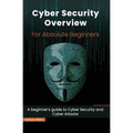 Cyber Security Overview for Absolute Beginners: A beginner's guide to Cyber Security - Paperback