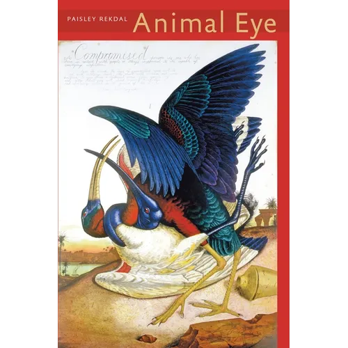Animal Eye - Paperback