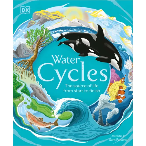 Water Cycles - Hardcover