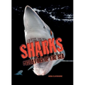 Sharks: Predators of the Sea - Paperback