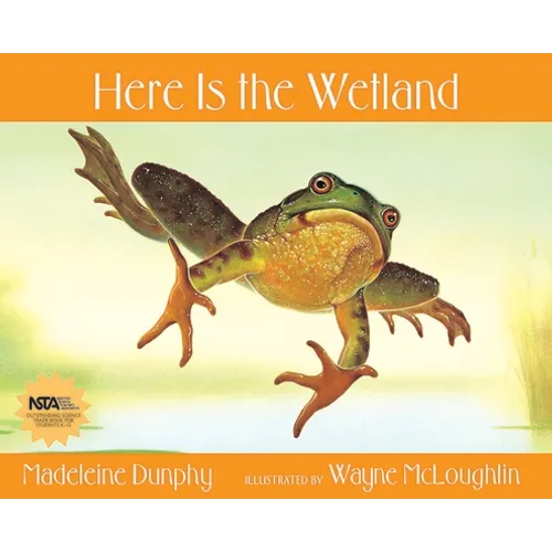 Here Is the Wetland - Paperback
