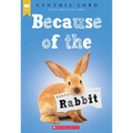 Because of the Rabbit - Paperback