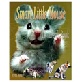 Smart Little Mouse. Children's book - Paperback