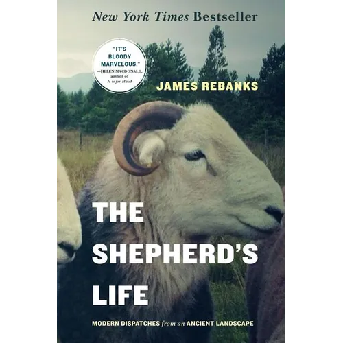 The Shepherd's Life: Modern Dispatches from an Ancient Landscape - Paperback