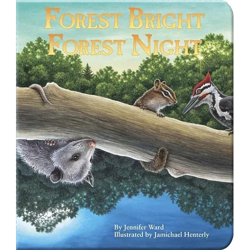 Forest Bright, Forest Night - Board Book