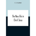 The New Life In Christ Jesus - Paperback