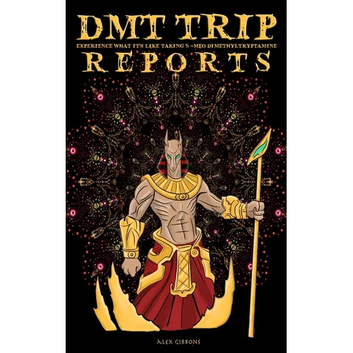 DMT Trip Reports - Experience What It's Like Taking 5 Meo Dimethyltrptamine - Paperback