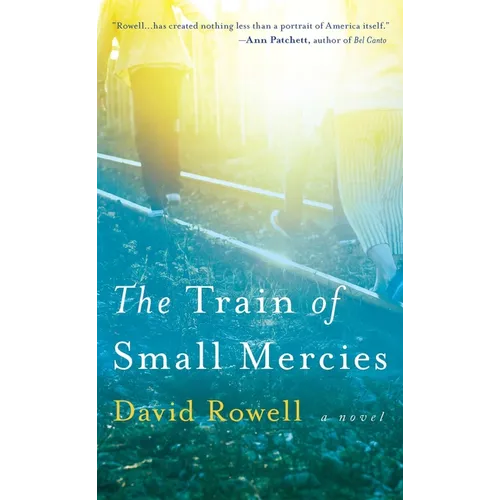 The Train of Small Mercies - Paperback