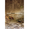 Console: Poems - Paperback