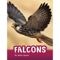 Falcons - Paperback
