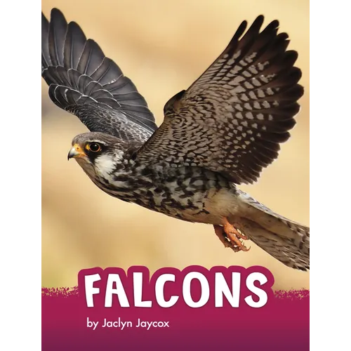 Falcons - Paperback
