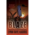 Blaze: A Small Town, Nerdy Girl, Opposites Attract, Protector Romance - Paperback