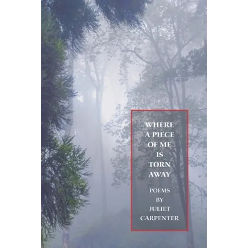 Where a Piece of Me is Torn Away - Paperback