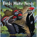 Birds Make Nests - Paperback