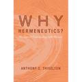 Why Hermeneutics?: An Appeal Culminating with Ricoeur - Hardcover
