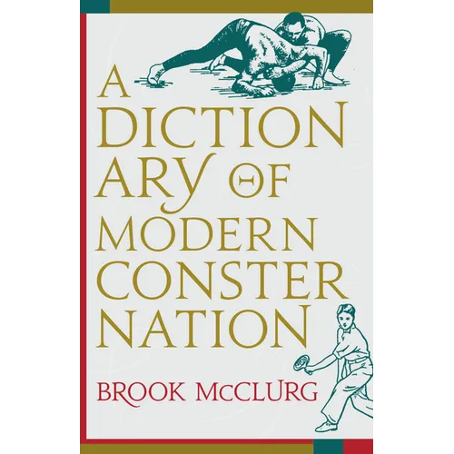 Dictionary of Modern Consternation - Paperback