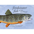 Freshwater Fish of the Northeast - Paperback