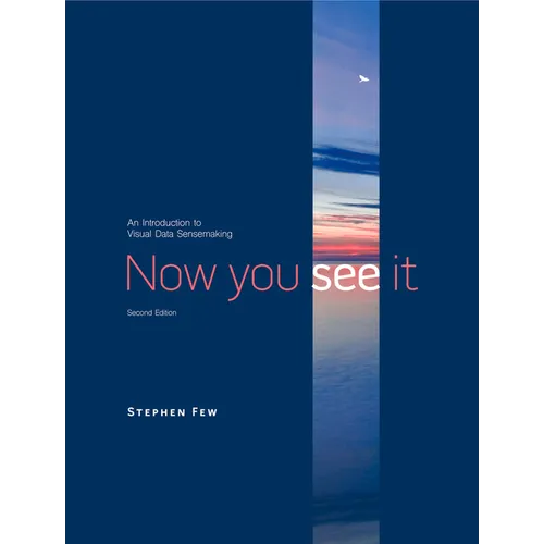 Now You See It: An Introduction to Visual Data Sensemaking - Hardcover
