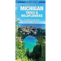 Michigan Trees & Wildflowers: An Introduction to Familiar Species - Paperback