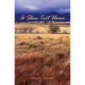 A Slow Trot Home - Paperback