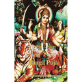 Durga Puja Beginner - Paperback