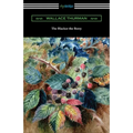 The Blacker the Berry - Paperback