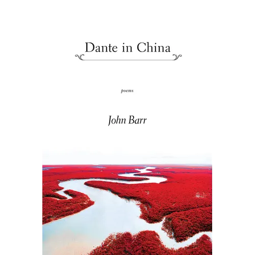 Dante in China - Hardcover