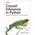 Causal Inference in Python: Applying Causal Inference in the Tech Industry - Paperback