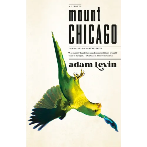 Mount Chicago - Paperback