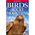 Birds of the Rocky Mountains - Paperback