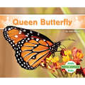 Queen Butterfly - Library Binding
