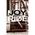Joy Ride: Lesbian Bisexual Voyeur Erotica - Paperback
