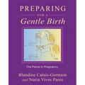 Preparing for a Gentle Birth: The Pelvis in Pregnancy - Paperback
