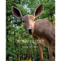 Tony Tasset - Hardcover
