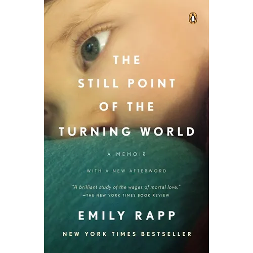 The Still Point of the Turning World - Paperback