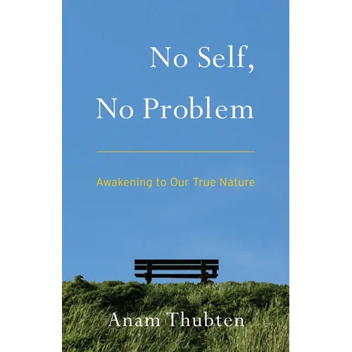 No Self, No Problem: Awakening to Our True Nature - Paperback