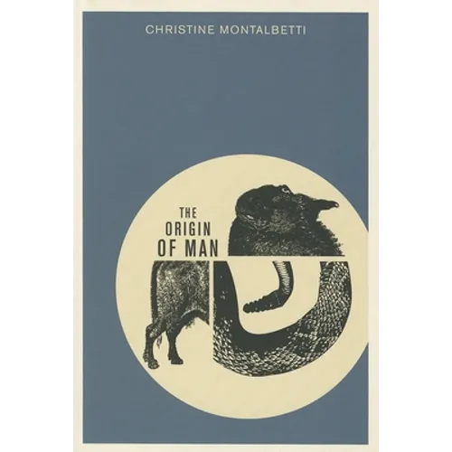 Origin of Man - Paperback