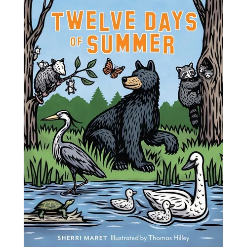 Twelve Days of Summer - Hardcover