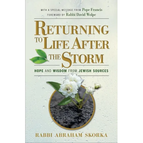 Returning to Life After the Storm - Hardcover
