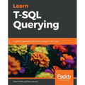 Learn T-SQL Querying: A guide to developing efficient and elegant T-SQL code - Paperback