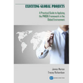 Executing Global Projects: A Practical Guide to Applying the PMBOK Framework in the Global Environment - Paperback