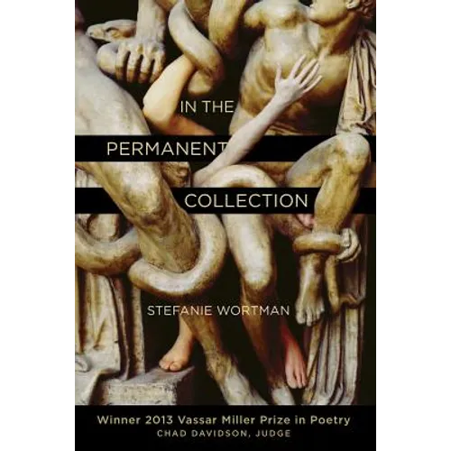 In the Permanent Collection - Paperback