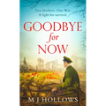 Goodbye for Now - Paperback