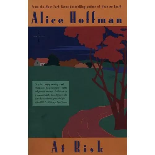 At Risk - Paperback