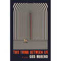 This Thing Between Us - Paperback