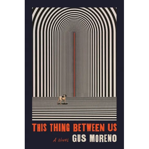 This Thing Between Us - Paperback