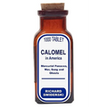 Calomel in America: Mercurial Panacea, War, Song and Ghosts