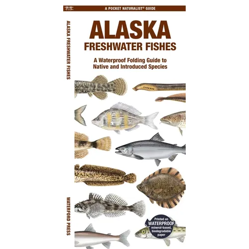 Alaska Freshwater Fishes: A Folding Pocket Guide to Native and Introduced Species - Paperback