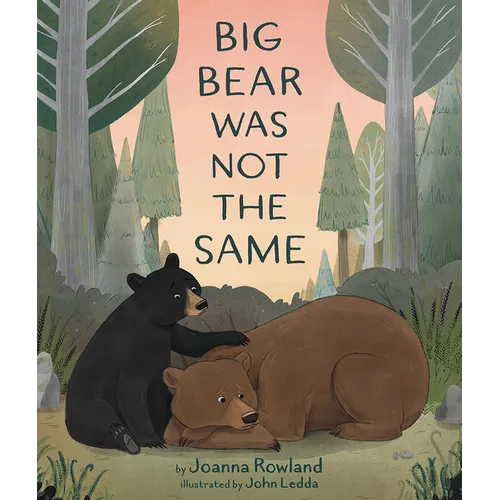 Big Bear Was Not the Same - Hardcover