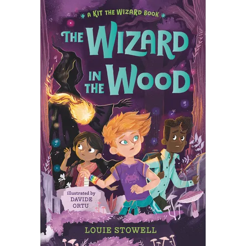 The Wizard in the Wood - Paperback